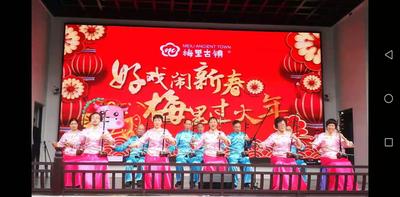 童悦艺术团简介